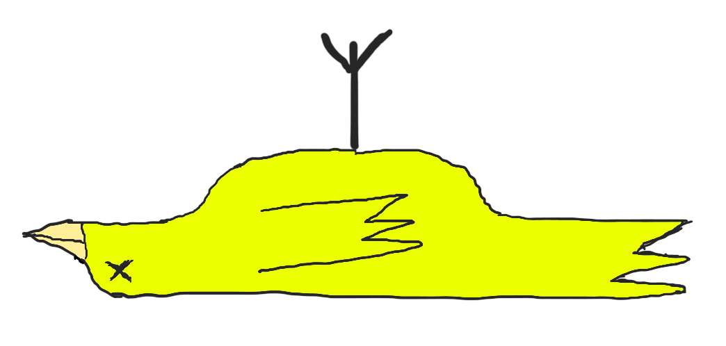 canary