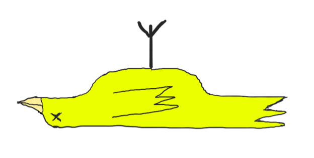 canary